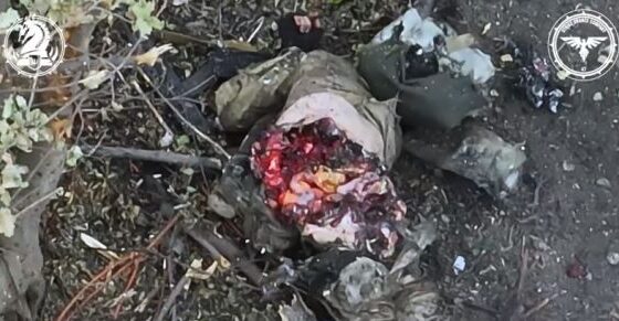 The true face of the russia vs ukraine war Photo 0001 Video Thumb