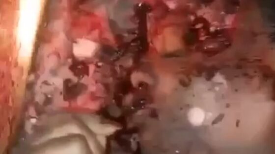 Woman is killed with several shots to the face and is left rotting on the bed Photo 0001 Video Thumb