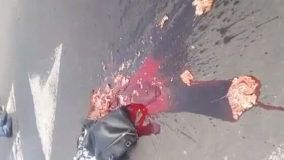 Woman run over by truck in mexico has her head crushed and her brain thrown on the ground Photo 0001 Video Thumb