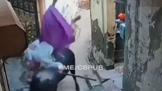 Bull gores old woman and throws her away in india Photo 0001 Video Thumb