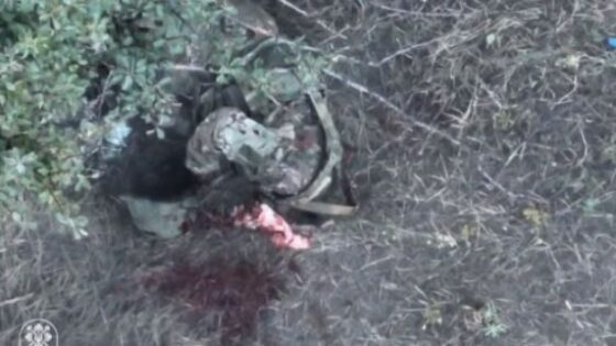 Decapitation by drone in the russia vs ukraine war Photo 0001 Video Thumb