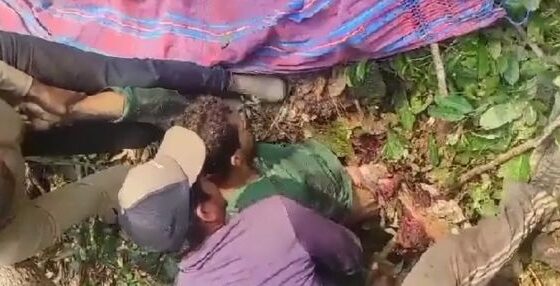 Man crushed by tree in brazil Photo 0001 Video Thumb