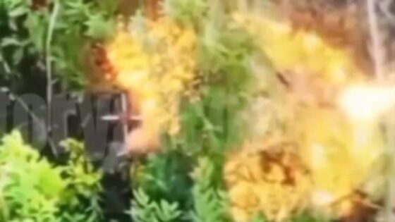 Ukrainian soldier burning to death due to explosion of incendiary grenade launched by russia in russia vs ukraine war Photo 0001 Video Thumb