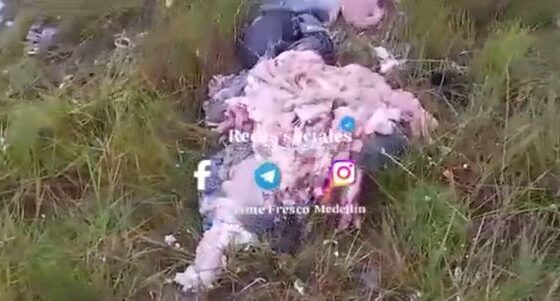 Colombian air force helicopter crash leaves eight dead and carnage on the ground Photo 0001 Video Thumb