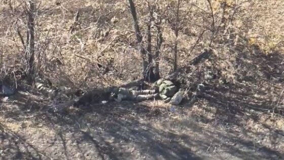 Drone exploding soldiers in the russia vs ukraine war first person view Photo 0001 Video Thumb