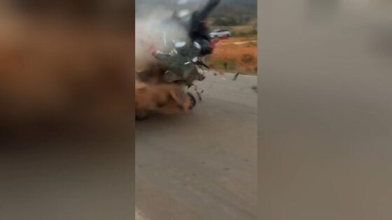Incredible traffic accident involving a speeding motorcycle and a car in brazil Photo 0001 Video Thumb