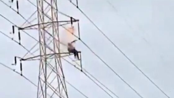 Man climbs power transmission tower and is violently electrocuted in mexico Photo 0001 Video Thumb