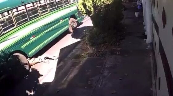Man throws himself under the wheel of moving bus in horrific suicide attempt Photo 0001 Video Thumb