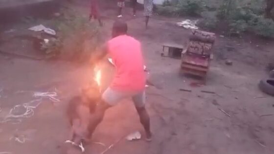 Man torturing captured rival with hot plastic and brutal beating in nigeria Photo 0001 Video Thumb