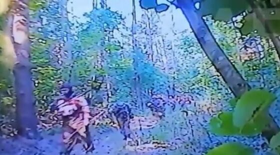 Remote explosives blow up ukrainian mine clearance team in russia vs ukraine war Photo 0001 Video Thumb