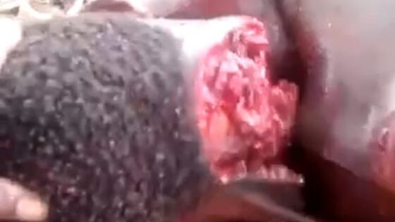 Rivals head severed by occultists in nigeria in brutal beheading Photo 0001 Video Thumb