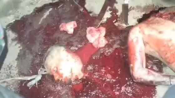 Terceiro comando puro tcp traffickers beheaded and have fun with a rival pt 2 Photo 0001 Video Thumb