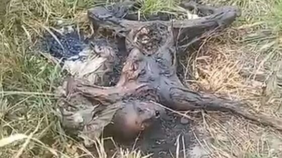 The body of a woman was found carbonized and in an advanced state of decomposition in brazil Photo 0001 Video Thumb