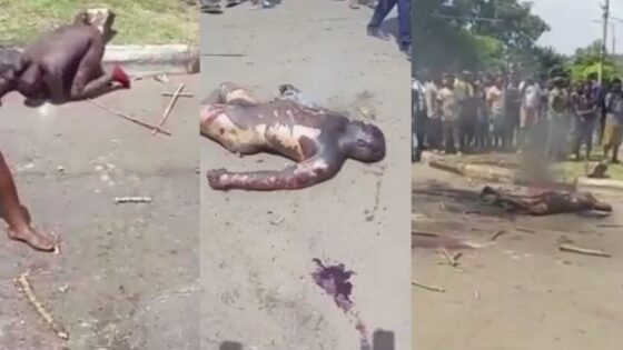 Two nigerians allegedly accused of blasphemy are allegedly burned alive by christians in nigeria Photo 0001 Video Thumb