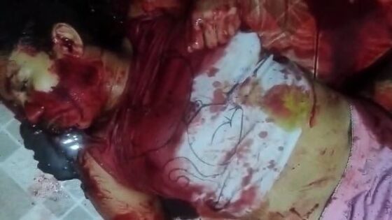 Woman stabbed to death by her husband after he found conversations between her and another man on her cell phone Photo 0001 Video Thumb