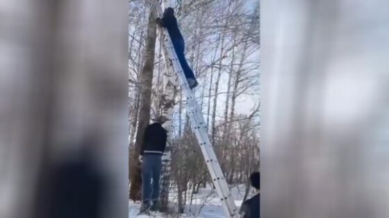 Police cut frozen dead body from tree Photo 0001 Video Thumb