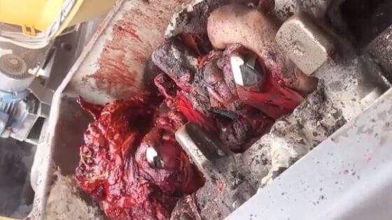 Worker falls into a giant crusher in brazil and is left in pieces Photo 0001 Video Thumb