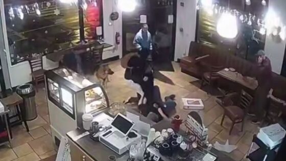 A brave coffee shop employee foiled the robbery of a customer even though the criminal sprayed him with pepper spray in his face in san francisco Photo 0001 Video Thumb