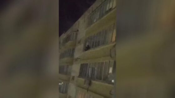 After an argument a 16 year old boy kirill threw a 14 year old girl marina out of the window of a building Photo 0001 Video Thumb