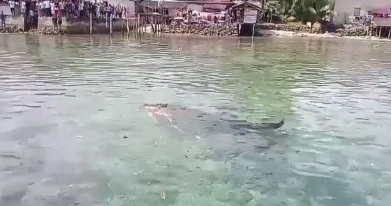 Crocodile grabbed mother of four Photo 0001 Video Thumb