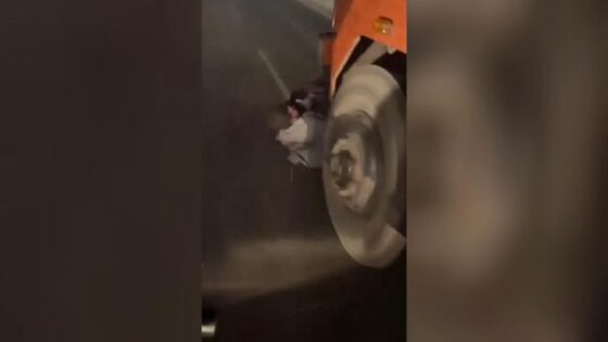 I dont know if hes lucky or unlucky to be in this situation Photo 0001 Video Thumb