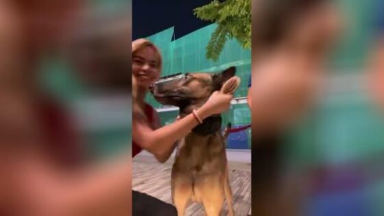 I think this dog doesnt like women Photo 0001 Video Thumb