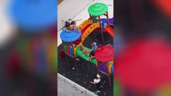 Large dog attacks children on playground Photo 0001 Video Thumb