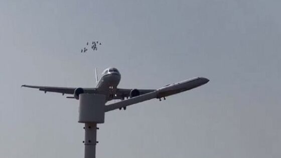Large plane kills several birds upon landing Photo 0001 Video Thumb