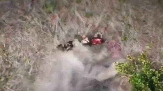 Soldiers exploding on the battlefield in russia vs ukraine war Photo 0001 Video Thumb