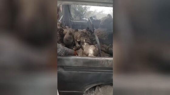 Ten people injured and several dead in tragic yemeni bus fire Photo 0001 Video Thumb