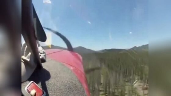 Terrifying cockpit footage captures the moment a stinson 108 3 plane carrying four people crashed into trees and crashed coming to rest upside down Photo 0001 Video Thumb