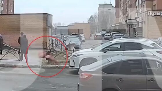 The traffic accident was so terrible that the womans brain flew through the air and crashed into another car in russia Photo 0001 Video Thumb