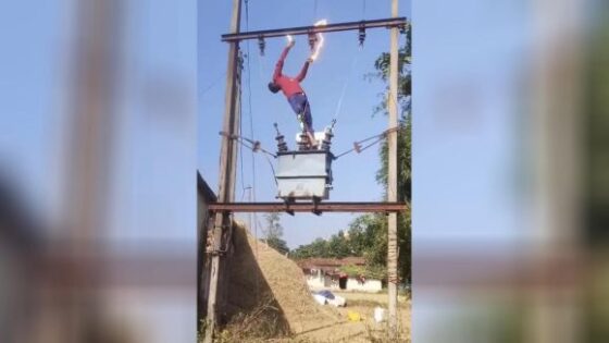 Whoever seeks finds and he found it when he climbed where he shouldnt have Photo 0001 Video Thumb