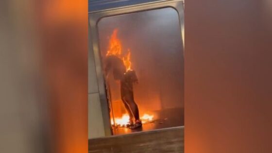 Woman burned alive by illegal immigrant on new york subway Photo 0001 Video Thumb