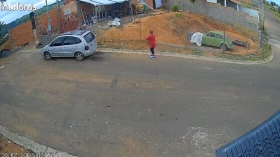 Brave man he faced two dogs with his bare hands in brazil Photo 0001 Video Thumb