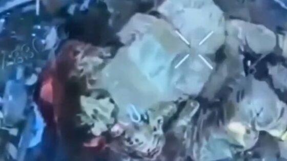 Dialogue between two soldiers who fought to the death of one of them during the russia vs ukraine war Photo 0001 Video Thumb
