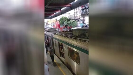 Man tries to steal cables from train but was very unsuccessful and ended up killing himself in brazil Photo 0001 Video Thumb
