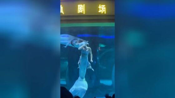 Shark almost eats human siren head in china Photo 0001 Video Thumb