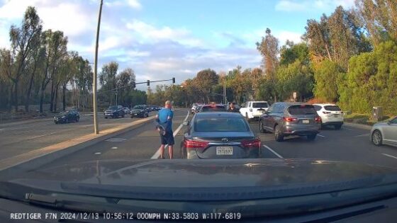 Thats what i call a traffic fight Photo 0001 Video Thumb