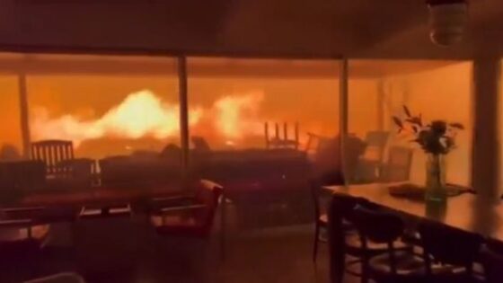 The rich cry too hollywood is on fire Photo 0001 Video Thumb
