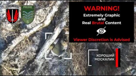 Russians get droned in kursk Photo 0001 Video Thumb