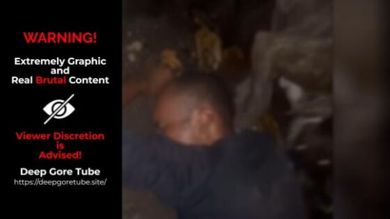 Alleged thief is punished with bites from a fierce dog in a favela in brazil until he repents of his thefts Photo 0001 Video Thumb