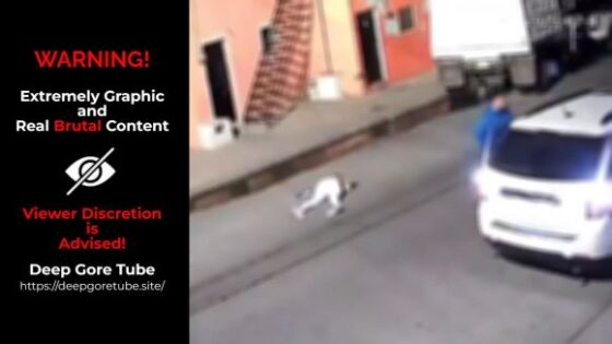28 year old woman shot dead by partner in guadalajara domestic violence incident Photo 0001 Video Thumb