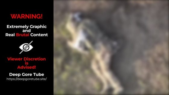 Drone destroys soldiers butt in Russia vs Ukraine war Photo 0001 Video Thumb