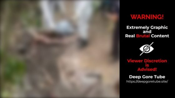 Kidnapped businessman found dead and buried by gang in Brazil Photo 0001 Video Thumb