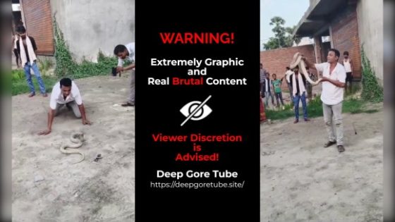 Snake charmer dies in India after being bitten by one Photo 0001 Video Thumb