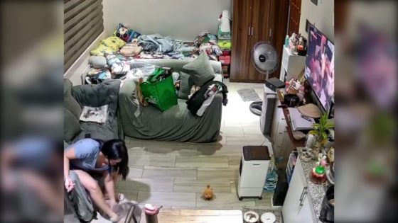 Cat turns on its owner and attacks her Photo 0001 Video Thumb