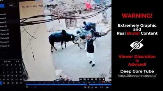 CCTV captures stray bull attack that seriously injures a 60-year-old in Chhatarpur Madhya Pradesh India Photo 0001 Video Thumb