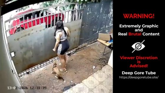 Security camera captures pit bull attack that killed pet dog in Campo Grande Brazil Photo 0001 Video Thumb