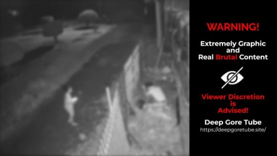 Woman stabbed to death in front of child in Dong Thap Vietnam Photo 0001 Video Thumb